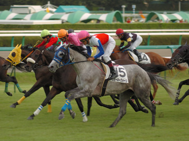 2008/09/27 R12R
