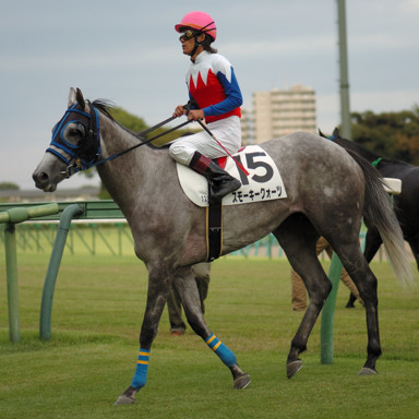 2008/09/27 R12R