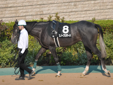2023/11/05 東京09R