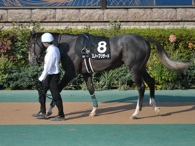 2023/11/05 東京09R