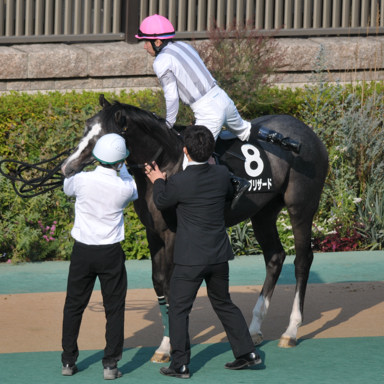 2023/11/05 東京09R