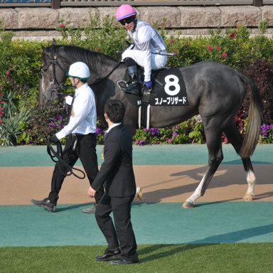 2023/11/05 東京09R