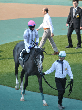 2023/11/05 東京09R