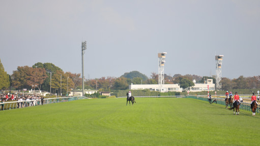 2023/11/05 東京09R
