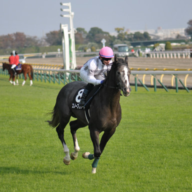 2023/11/05 東京09R