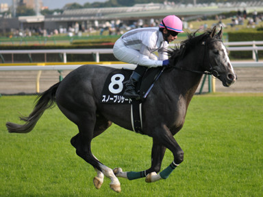 2023/11/05 東京09R