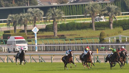 2023/11/05 東京09R
