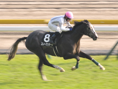 2023/11/05 東京09R