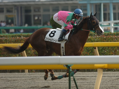 2005/11/26 東京07R
