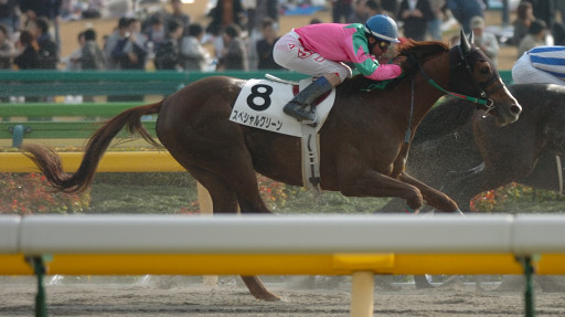 2005/11/26 東京07R