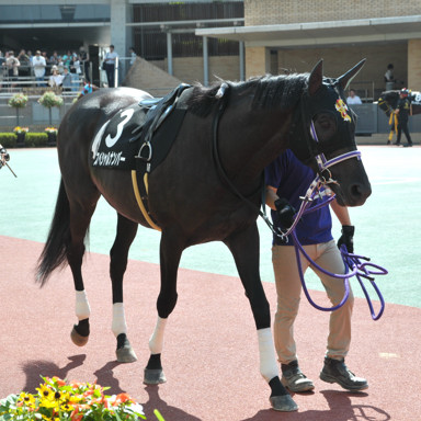 2024/08/24 中京10R