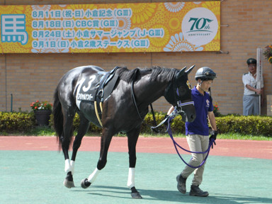 2024/08/24 中京10R