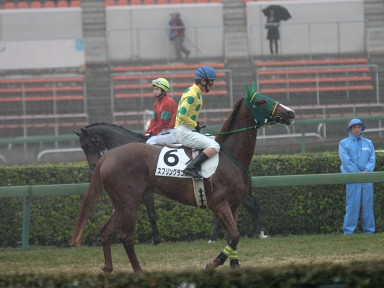 2007/03/25 R04R