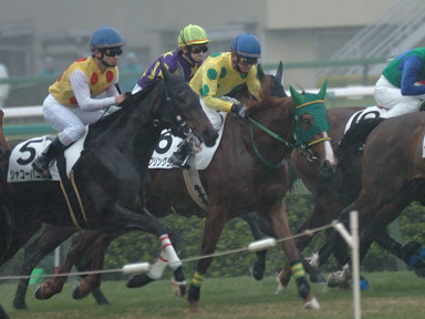 2007/03/25 R04R
