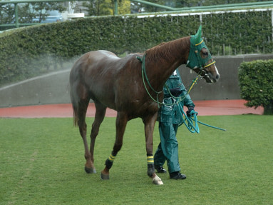 2007/03/25 R04R