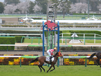 2025/04/06 中山08R