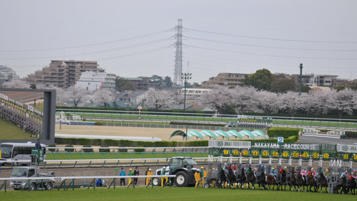 2025/04/06 中山08R