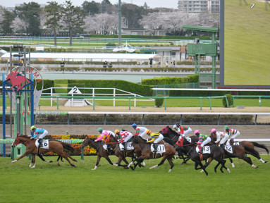 2025/04/06 中山08R