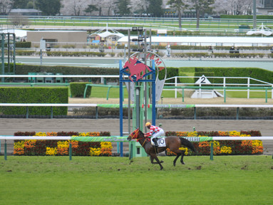 2025/04/06 中山08R