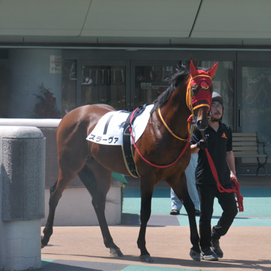 2025/04/27 東京07R