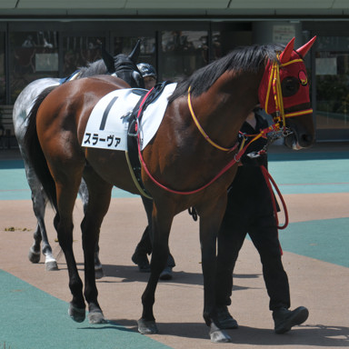 2025/04/27 東京07R
