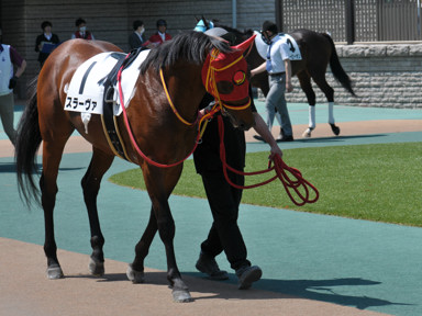 2025/04/27 東京07R