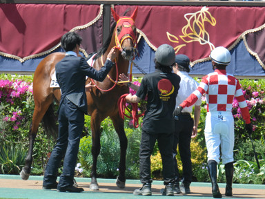 2025/04/27 東京07R
