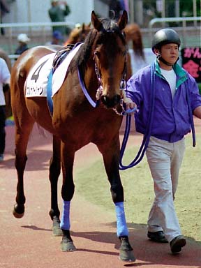 2003/03/23 中山05R
