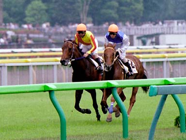 2003/05/24 東京05R