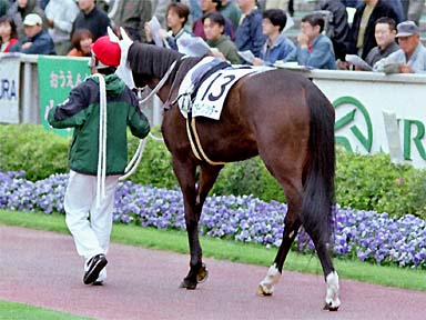 2001/04/21 東京07R