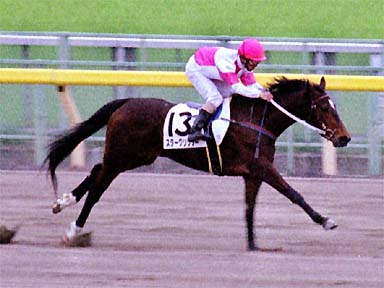 2001/04/21 東京07R