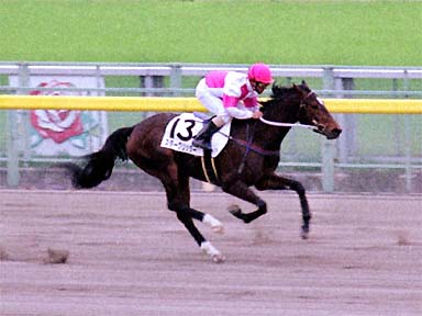 2001/04/21 東京07R