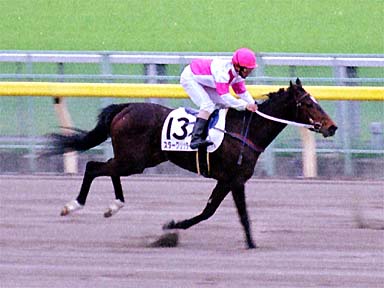 2001/04/21 東京07R