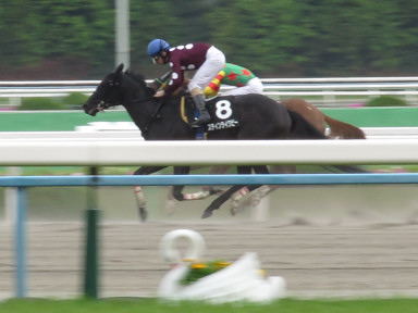 2016/05/01 京都12R
