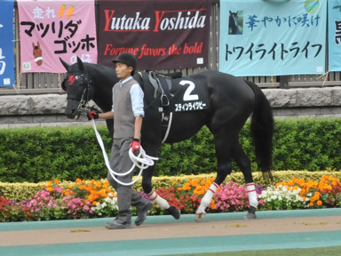 2016/10/29 東京10R