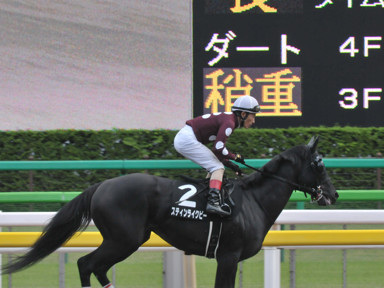 2016/10/29 東京10R