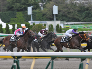 2016/10/29 東京10R