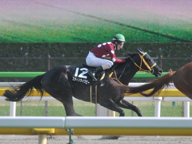 2018/04/22 東京10R
