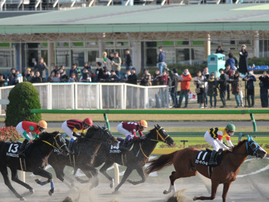 2018/11/24 東京10R