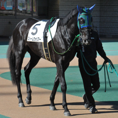 2020/02/01 東京07R