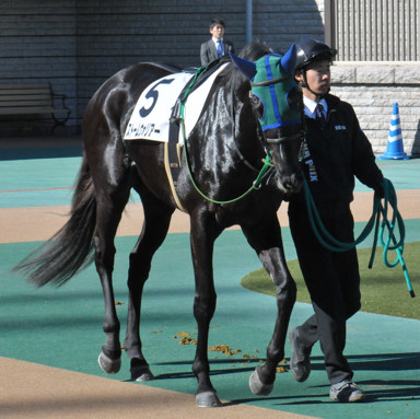 2020/02/01 東京07R