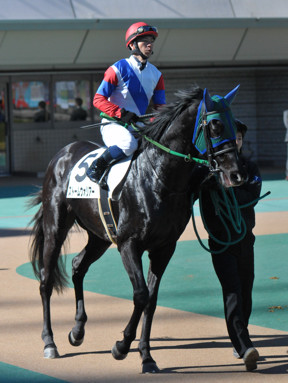 2020/02/01 東京07R