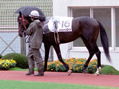 2003/09/20 中山08R