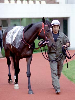 2003/09/20 中山08R