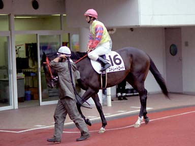 2003/09/20 中山08R