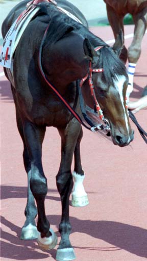 2003/10/04 中山08R