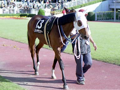 2001/11/04 東京09R
