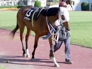 2001/11/04 東京09R
