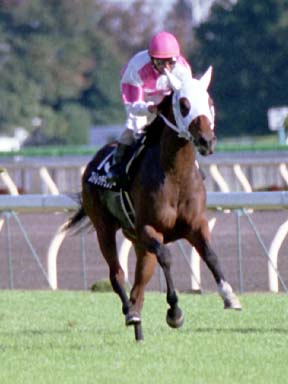 2001/11/04 東京09R