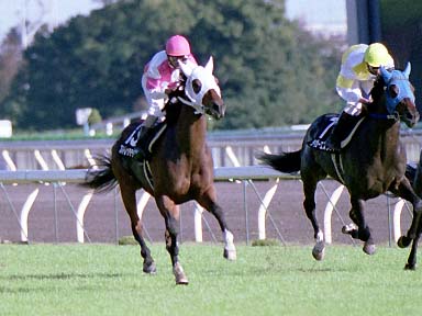 2001/11/04 東京09R